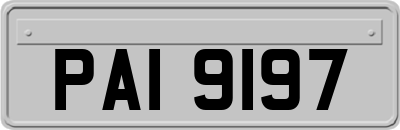PAI9197