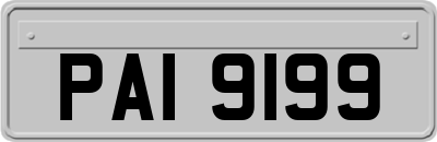 PAI9199