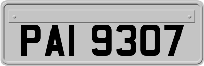 PAI9307