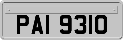 PAI9310