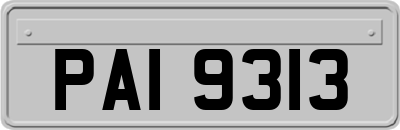 PAI9313