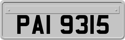 PAI9315
