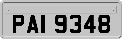 PAI9348