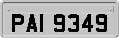 PAI9349