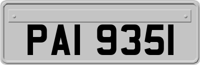 PAI9351