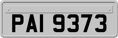 PAI9373