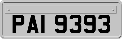 PAI9393
