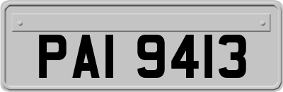 PAI9413