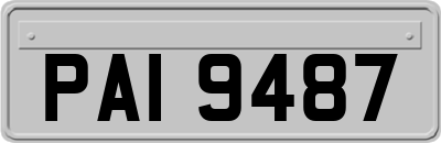 PAI9487