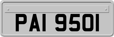 PAI9501