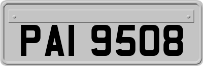 PAI9508