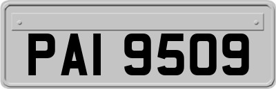 PAI9509