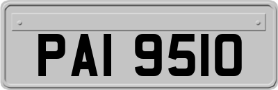 PAI9510