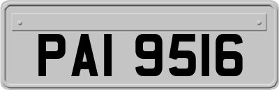 PAI9516