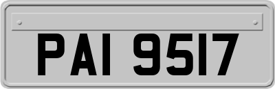 PAI9517