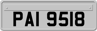 PAI9518