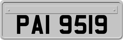 PAI9519