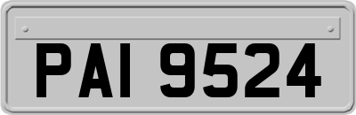 PAI9524
