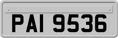 PAI9536