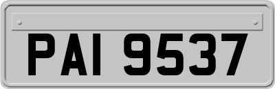 PAI9537