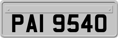 PAI9540