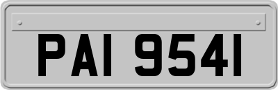 PAI9541