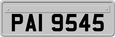 PAI9545