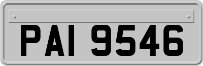 PAI9546