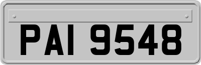 PAI9548