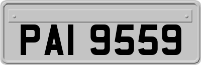 PAI9559