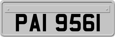 PAI9561