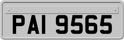 PAI9565