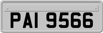 PAI9566