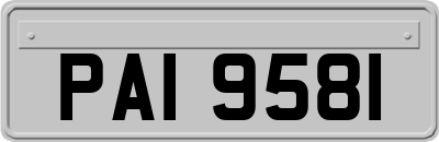 PAI9581