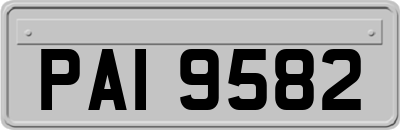 PAI9582