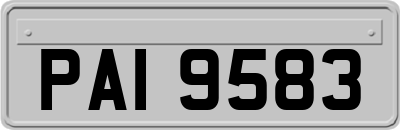PAI9583