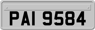 PAI9584