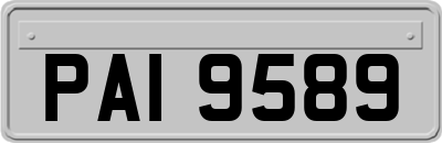 PAI9589