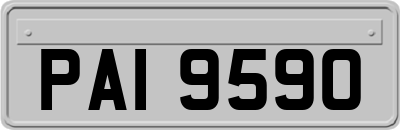 PAI9590