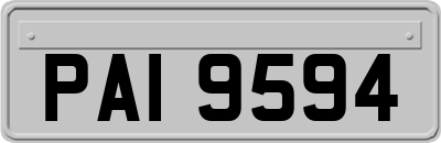 PAI9594