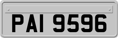 PAI9596
