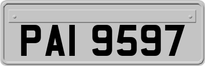 PAI9597