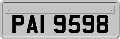 PAI9598