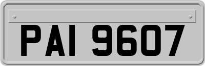 PAI9607