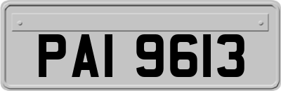 PAI9613