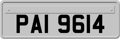 PAI9614