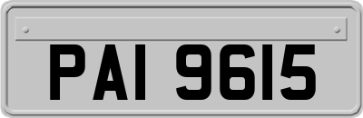 PAI9615