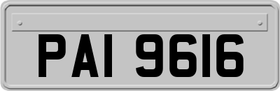 PAI9616