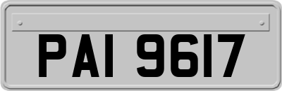 PAI9617