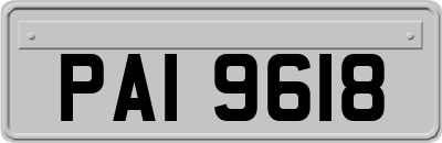 PAI9618